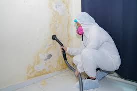 Best Mold Odor Removal Services  in Clearlake, CA